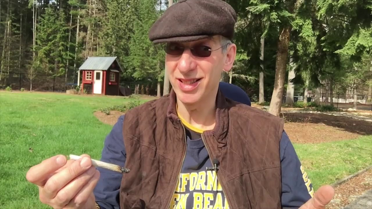 Maui Wowie Marijuana Strain Review