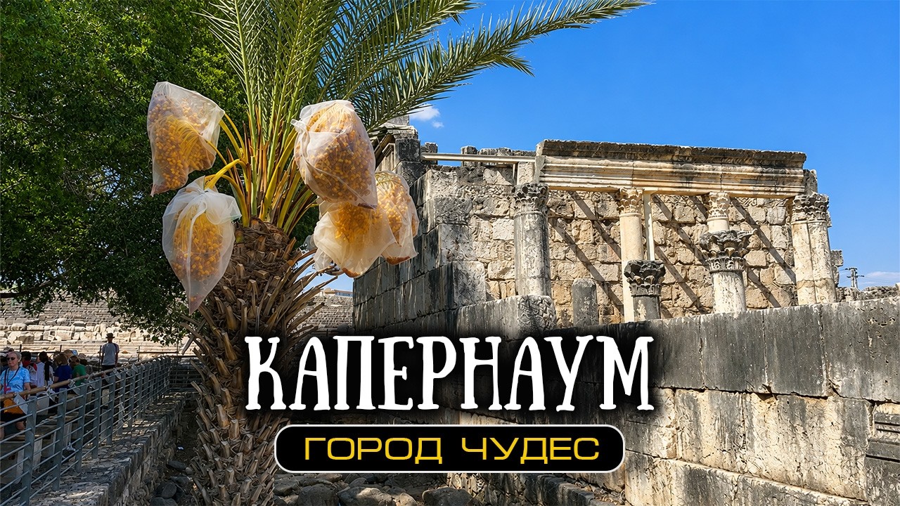 Капернаум. Сто чудес и одно проклятие
