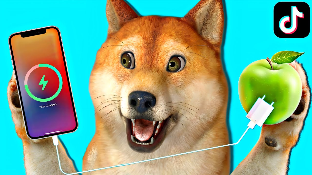 Esses LIFE HACKS do TIKTOK vão te SURPREENDER!
