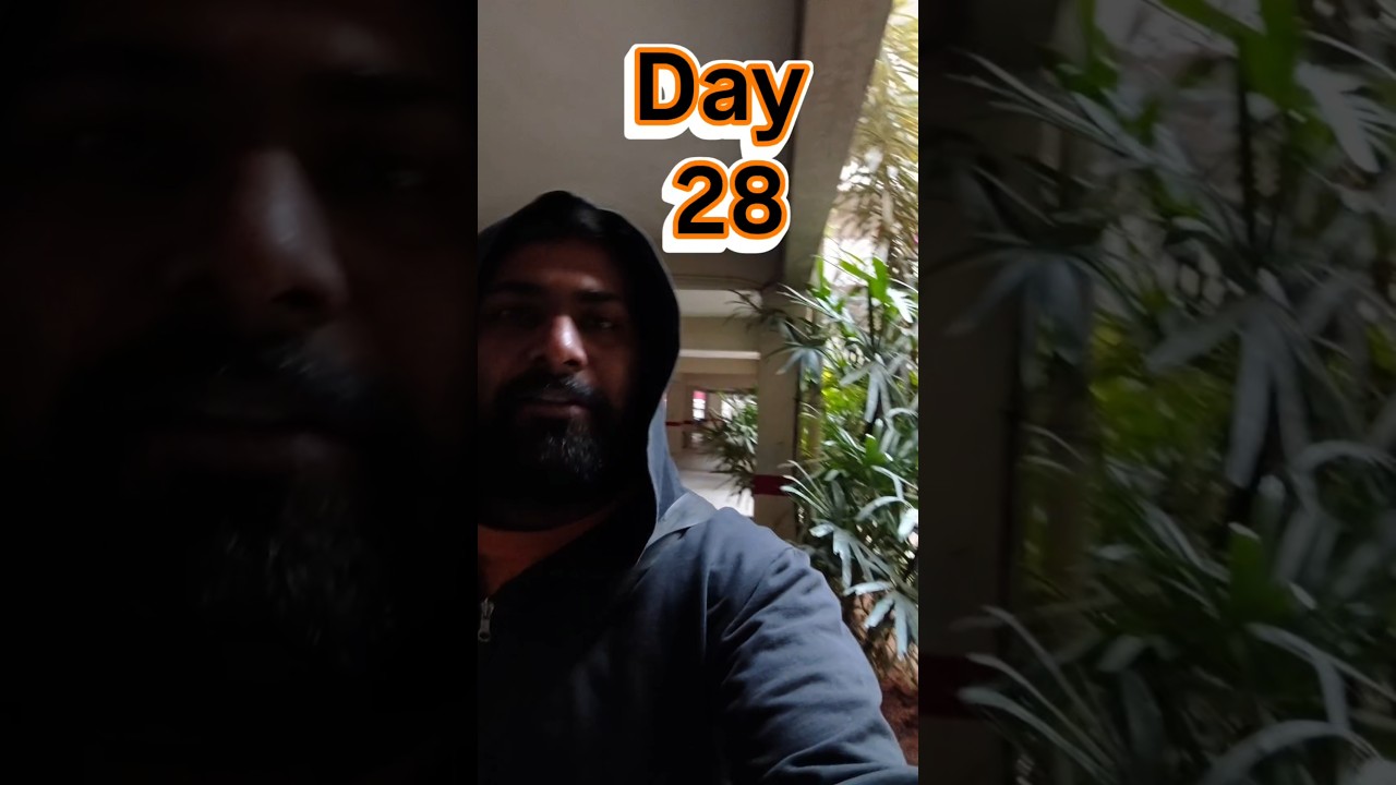 Day 28 : Vision in mind 