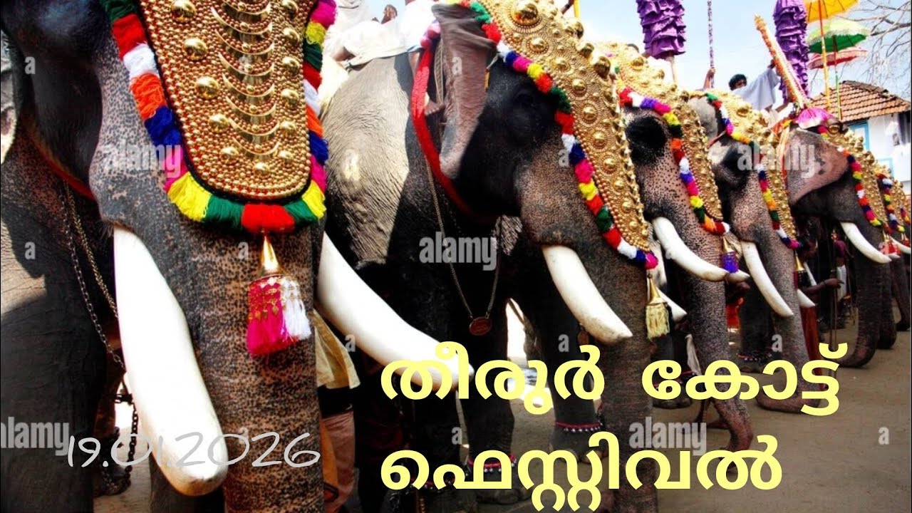 തീരുർ കോട്ട് ഫെസ്റ്റിവൽ 🕺💃🕺. #malappuram #tirur #malayalam #news 
