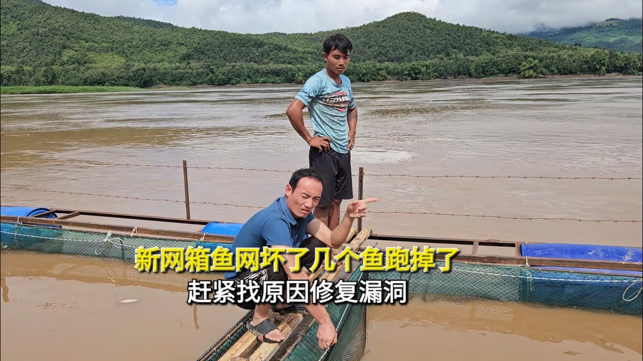 奇怪才做的新网箱坏了几个鱼跑掉了，赶紧找原因修复漏洞