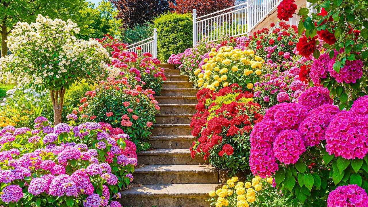 99% Feel Calm Walking This Flower Stairway 🌸 Deep Relaxation & Stress Relief 💗