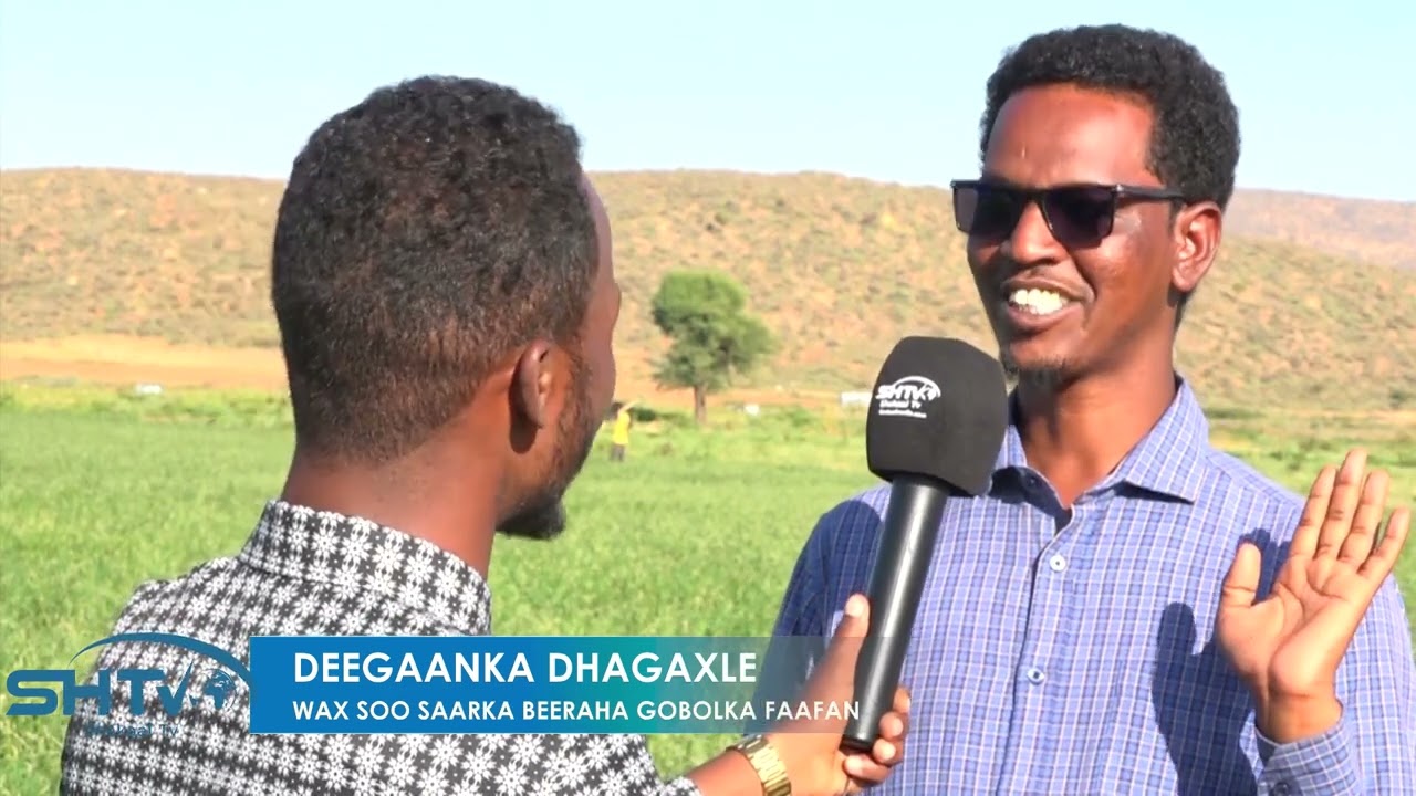 Wax soo saarka Beeraha deegaanka dhagaxle ee jigjiga