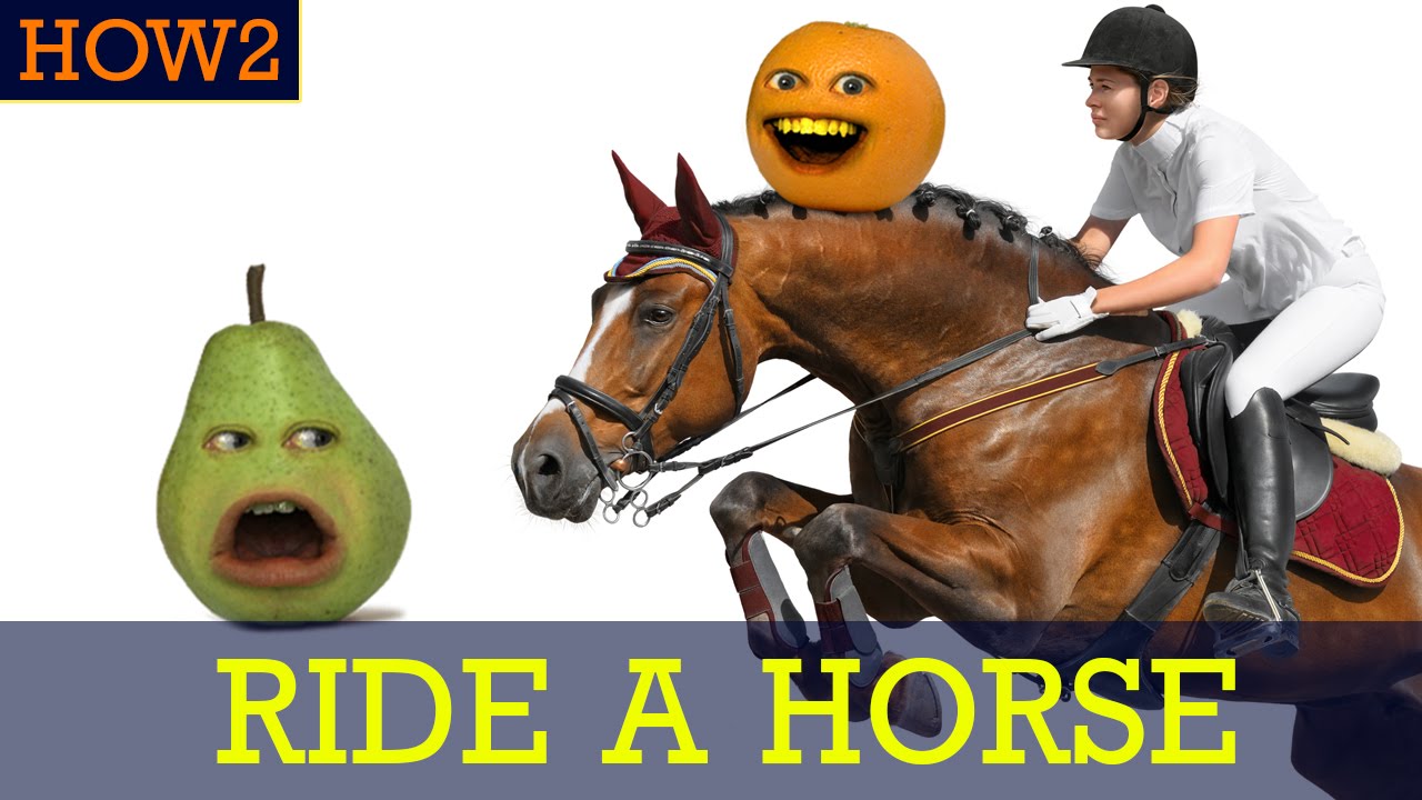HOW2: How to Ride a Horse!