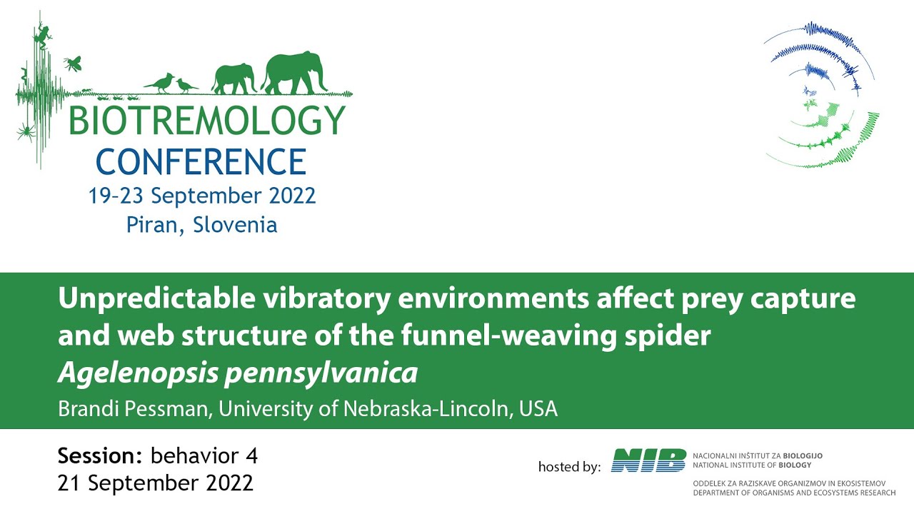 Unpredictable vibratory environments affect prey capture and web structure of the spider ...