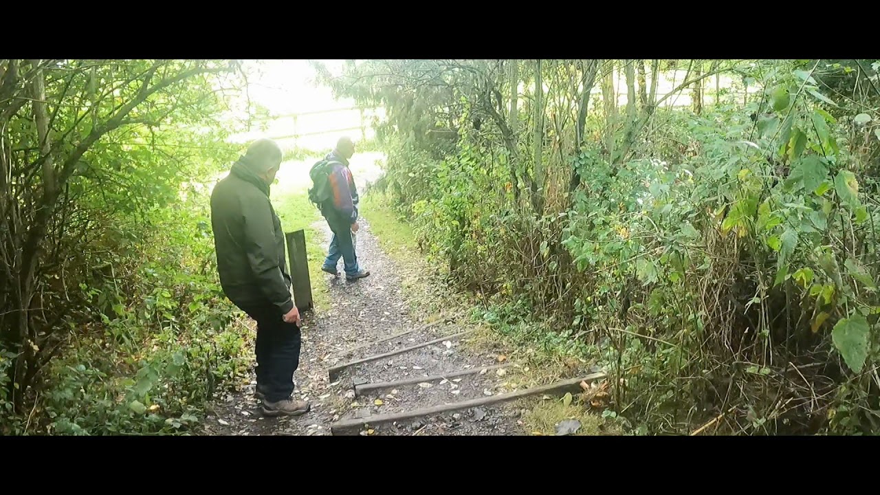 Wynyard Woodland Park