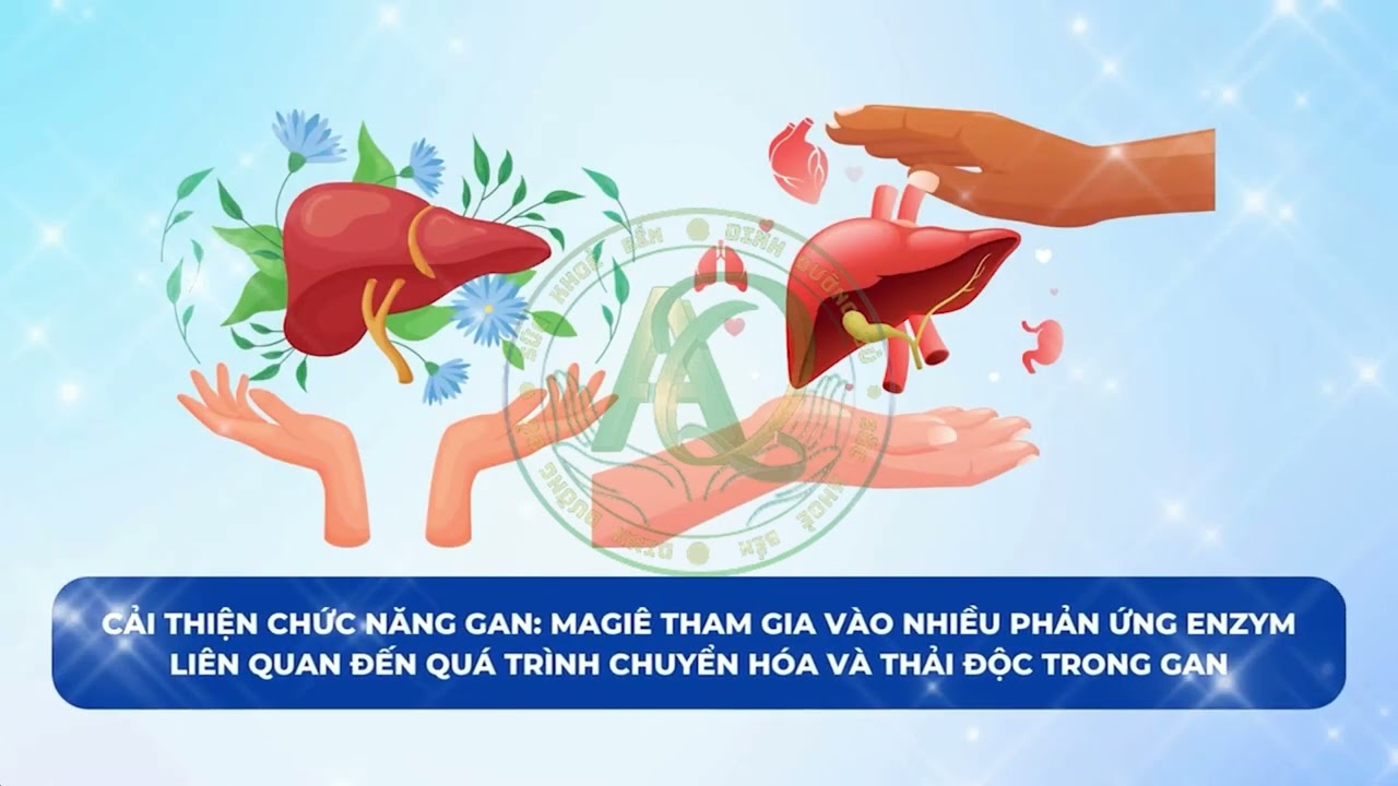 Bật mí lợi ích của magiê trong thải độc và phục hồi gan