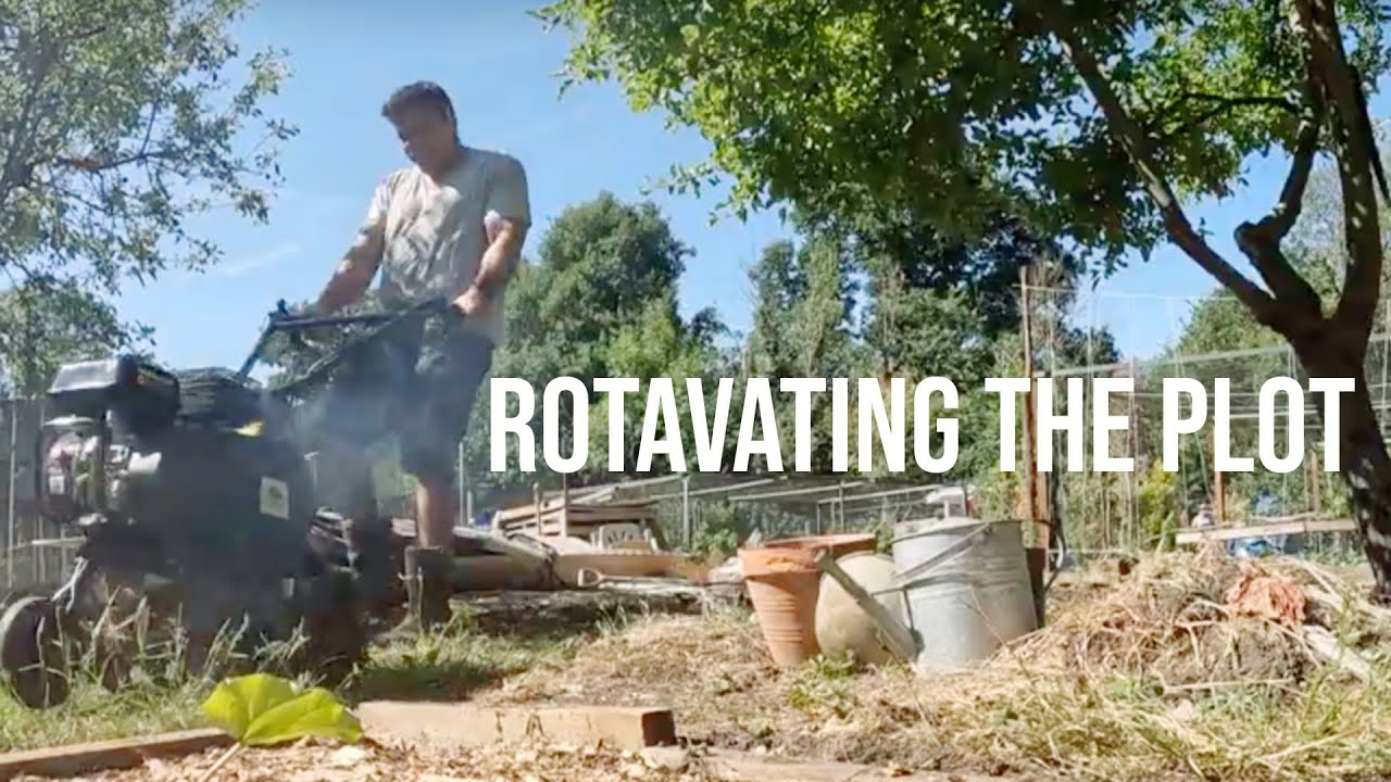 Rotavating The Plot | Allotment Transformation | Day 5 On My First Allotment