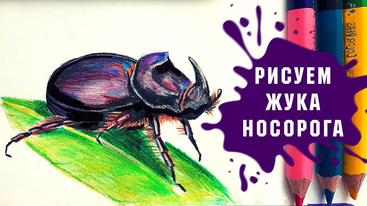 Урок - Рисуем Жука Носорога Карандашами За 30 Минут!