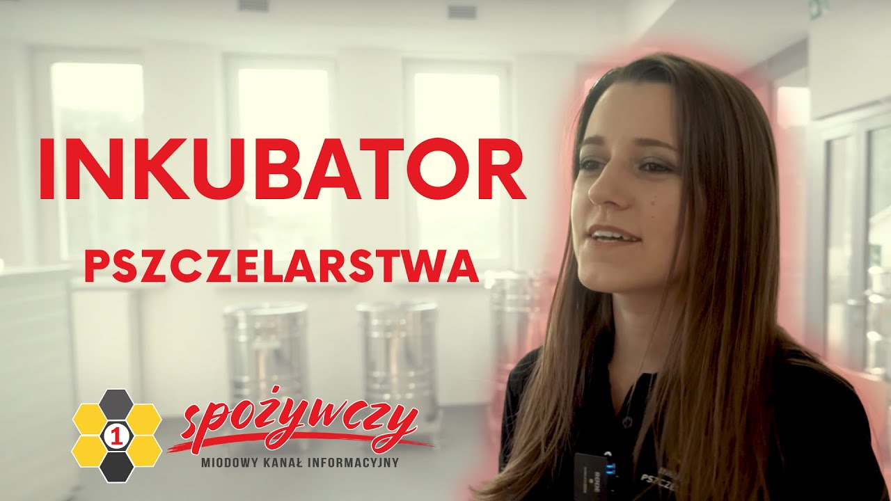 17 zł/h i nie musisz mieć swojej pracowni? INKUBATOR PSZCZELARSTWA | 1SPOŻYWCZY