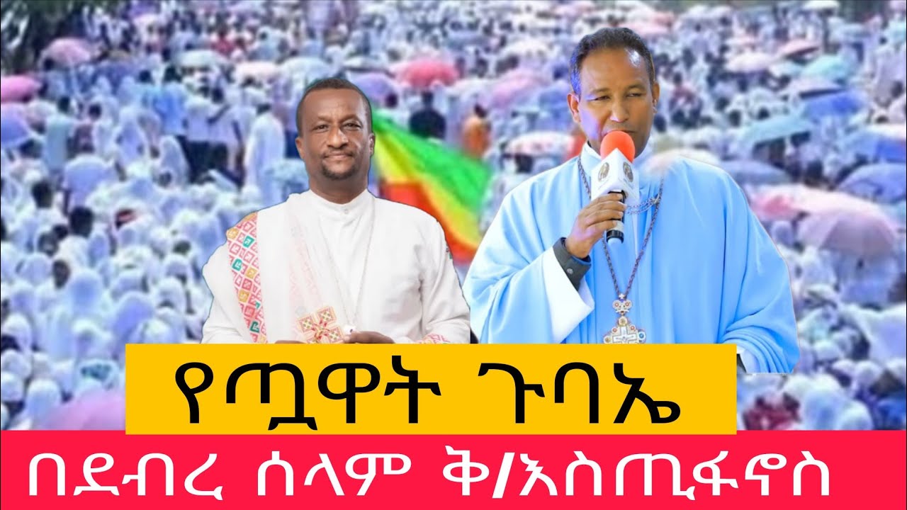ሩት ሚዲያ Rute Media is live
