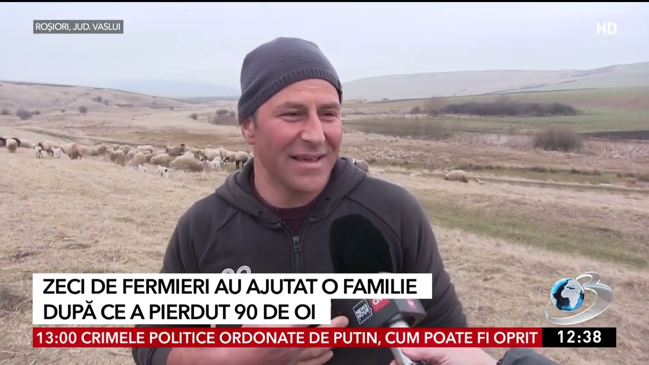 Un cioban din Vaslui şi-a pierdut oile, iar fermieri români din toată ţara i-au sărit în ajutor