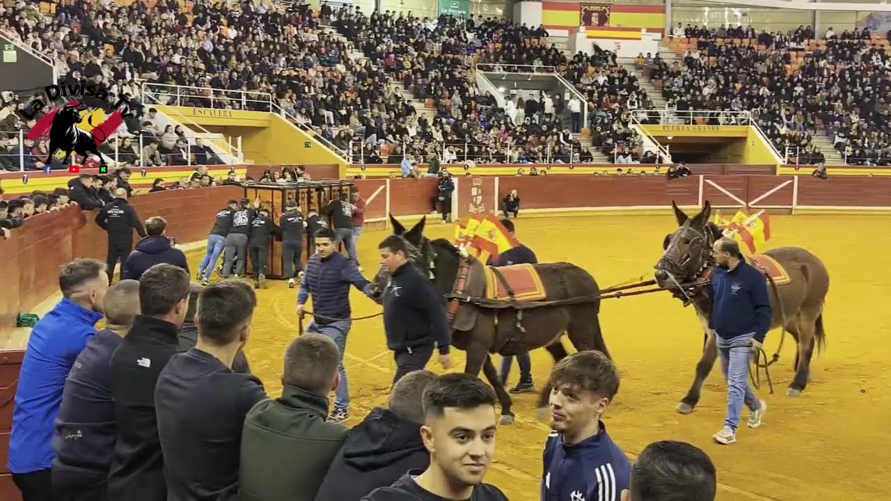 Toro del milagro Illescas (Toledo)