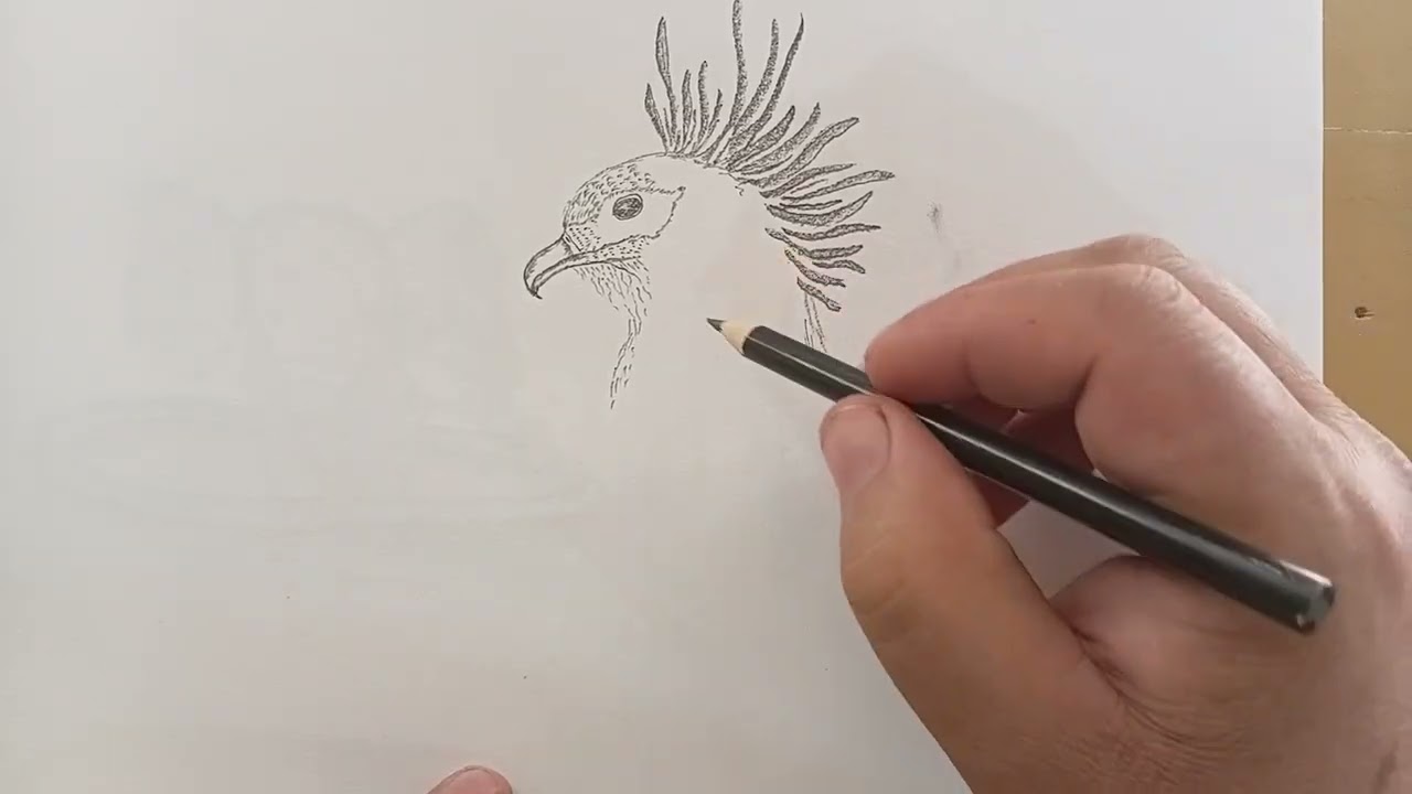 A sacaterybird Darw.simple.pincel.