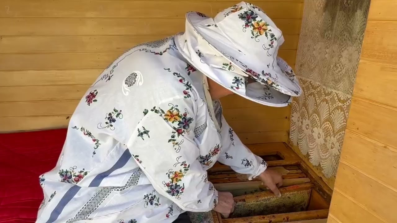 Негаймо час з відбудовою стільників