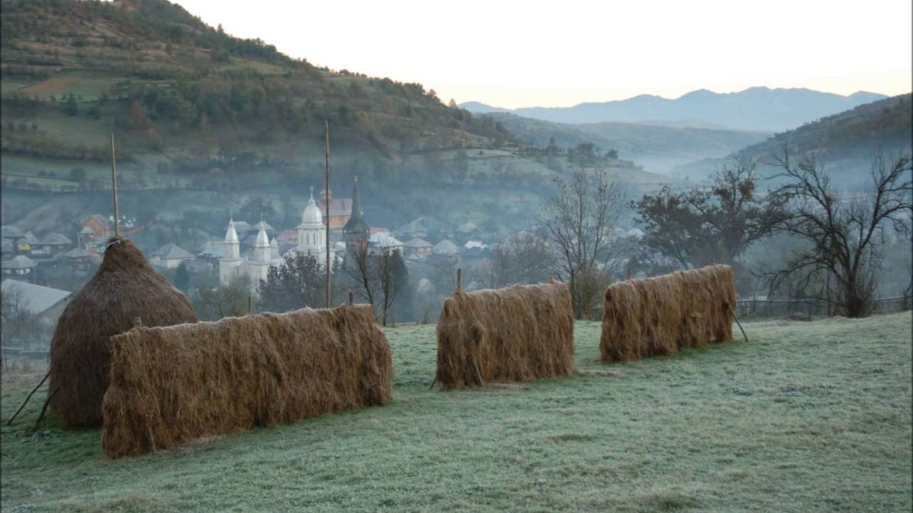Muzica Maramures - Strigaturi  - Ion Petreus Todereanu