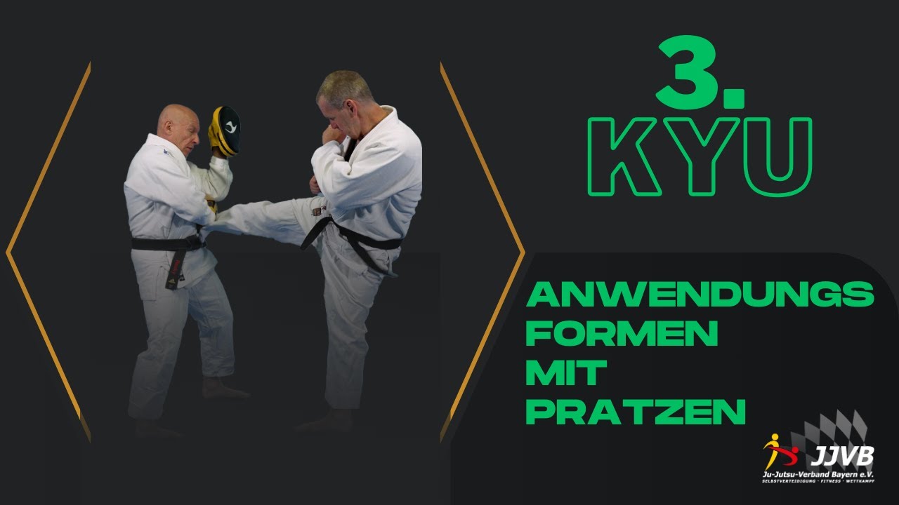 3. Kyu Anwendungsformen - Pratzen