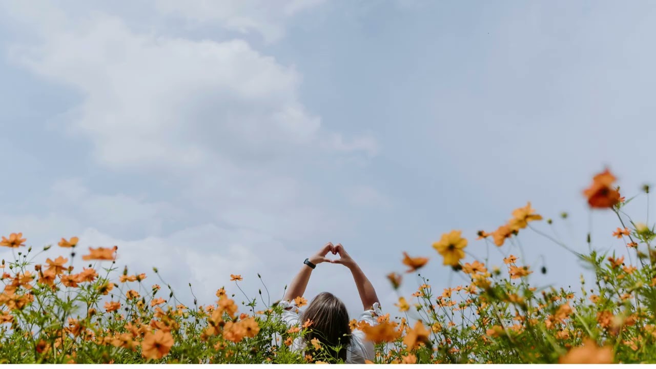 너는 꽃이야 (Dear My Flower)