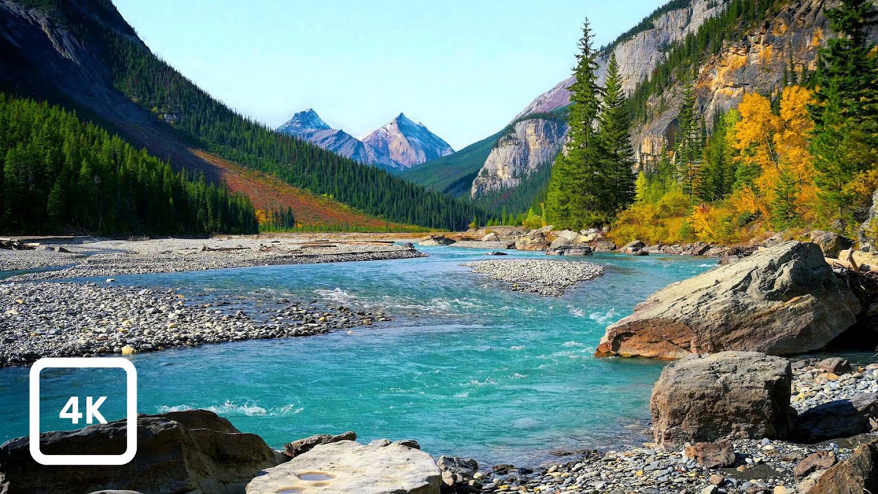 Canadian Rockies River in Spring | Relaxing Nature Sounds for Sleep & Focus, Soft Rapids White Noise