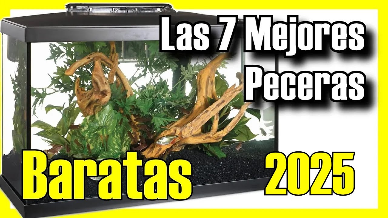 🐟🔥Las 7 MEJORES Peceras BUENAS y BARATAS de Amazon [2025]✅[Calidad/Precio] Acuarios de Peces Dulces
