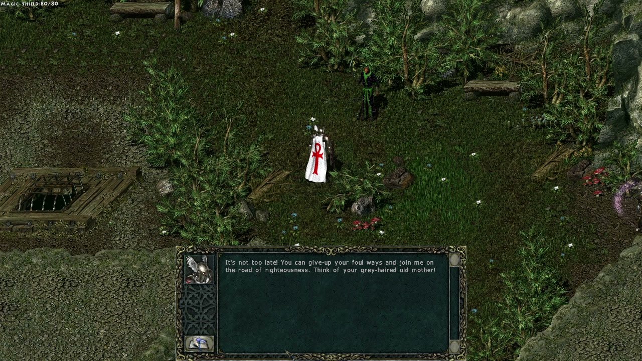 Divine Divinity (Part 70) - Dark Forest - Easter Egg Area + Armor of Larian obtained