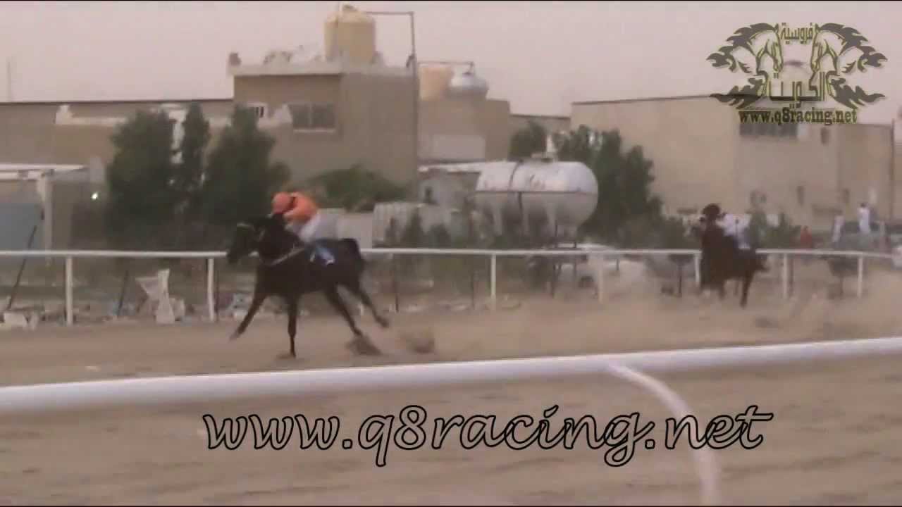 الجواد مقاطع