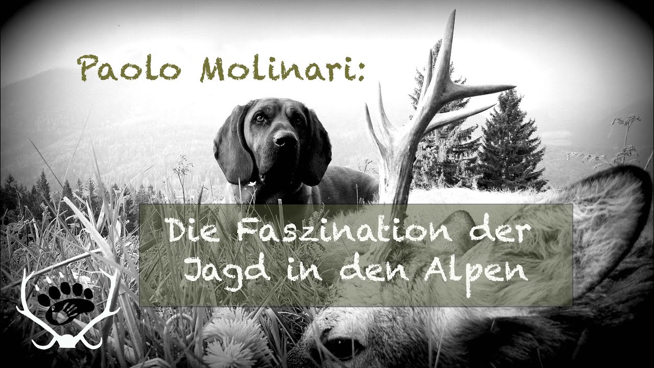 Ein J&auml;ger erz&auml;hlt von seiner Passion: Die Faszination der Jagd in den Alpen