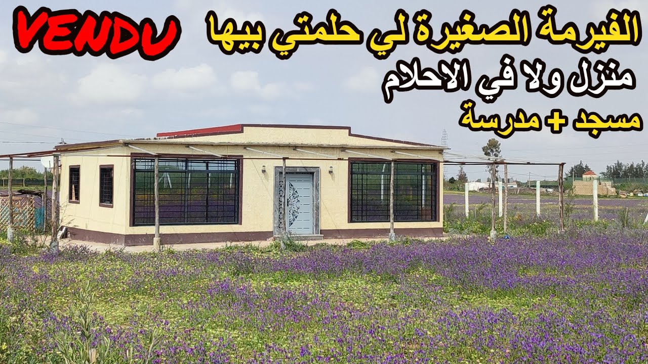 ✨ هانا على فيرمة صغيرة جميلة بمنزل كبير واصلاحات فخمة غي اجي واسكن وعيش الحياة ✨تيفلت