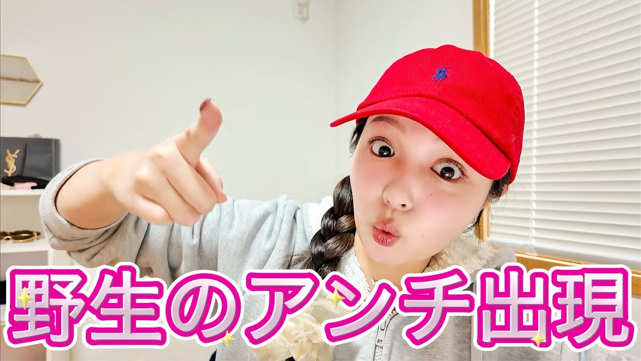 野生のアンチに遭遇した話