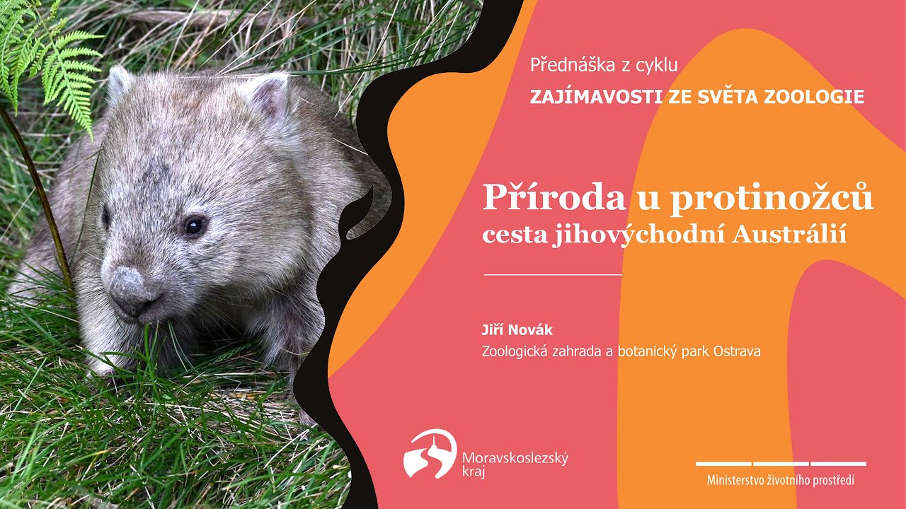 Přednáška v Zoo Ostrava: Příroda u protinožců – cesta jihovýchodní Austrálií