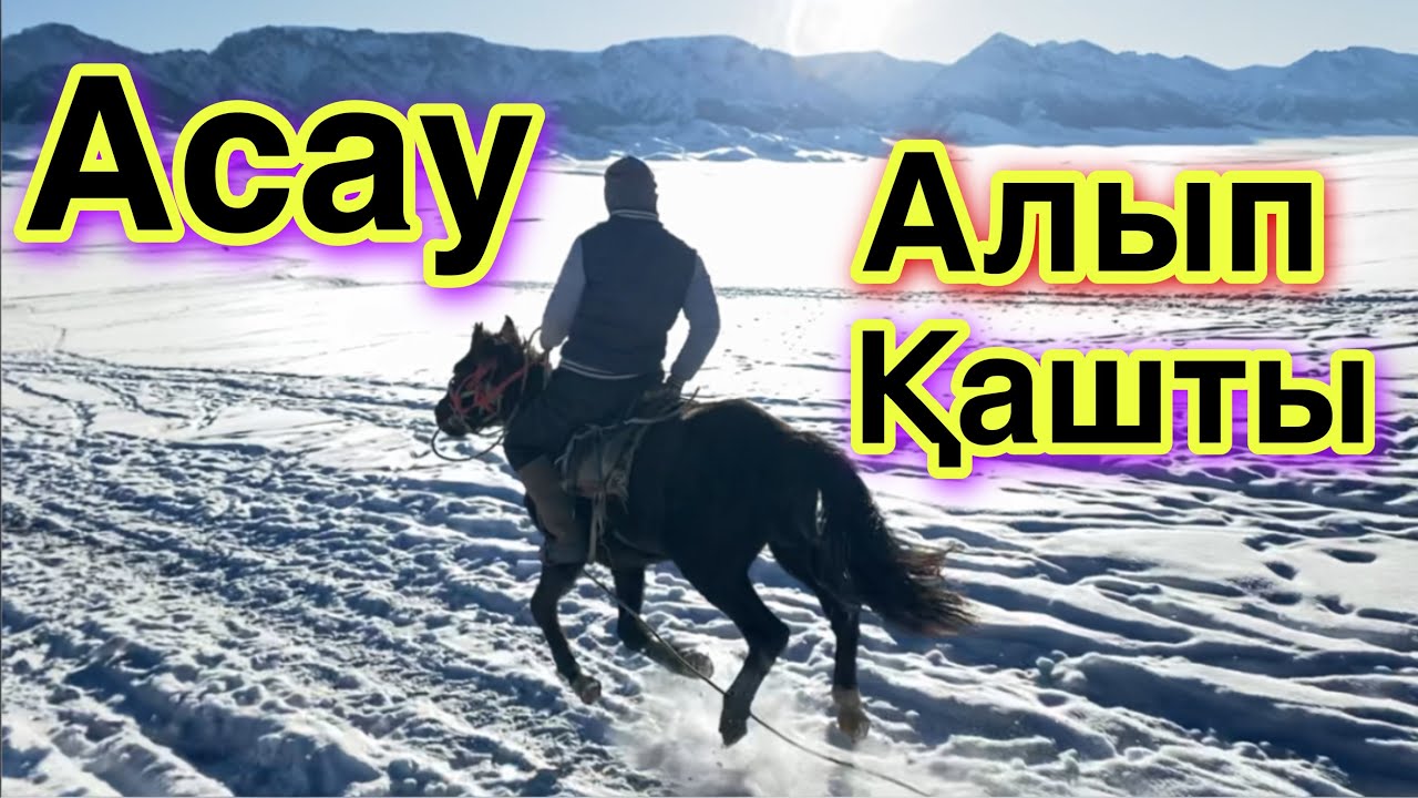 Асау үйретудің Оңай тәсілі. Обучение лошади.