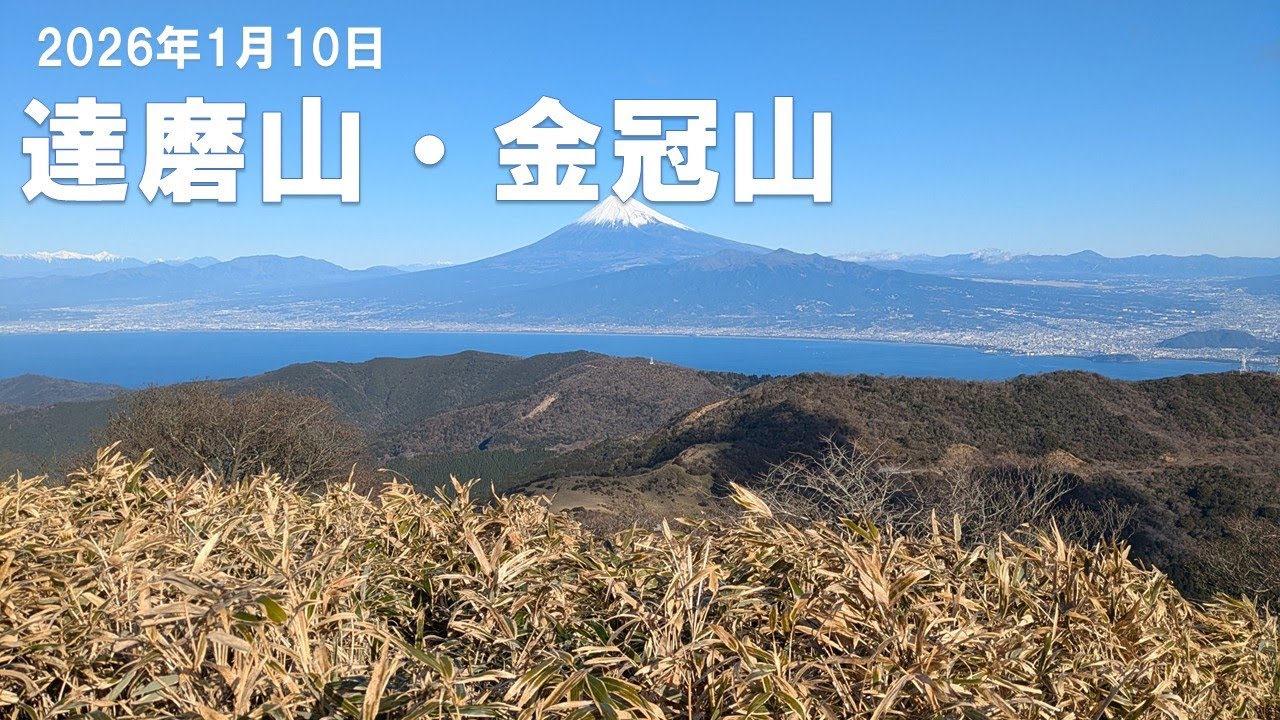 【達磨山・金冠山】富士山と海のコラボ、暴風だけど絶景だった！