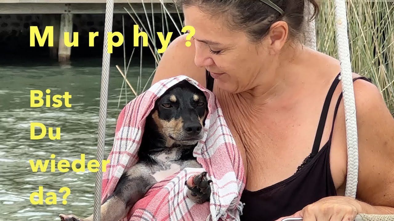 Murphy? Bist du wieder da?