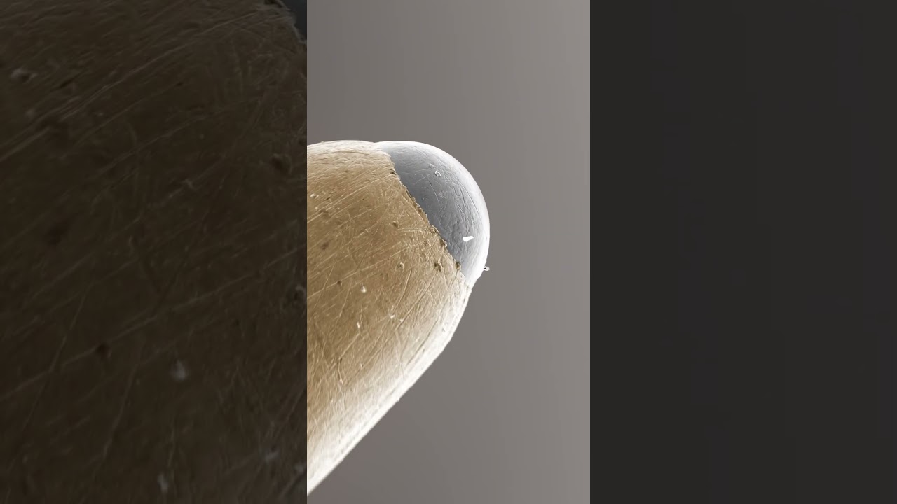Seamless Infinity: 