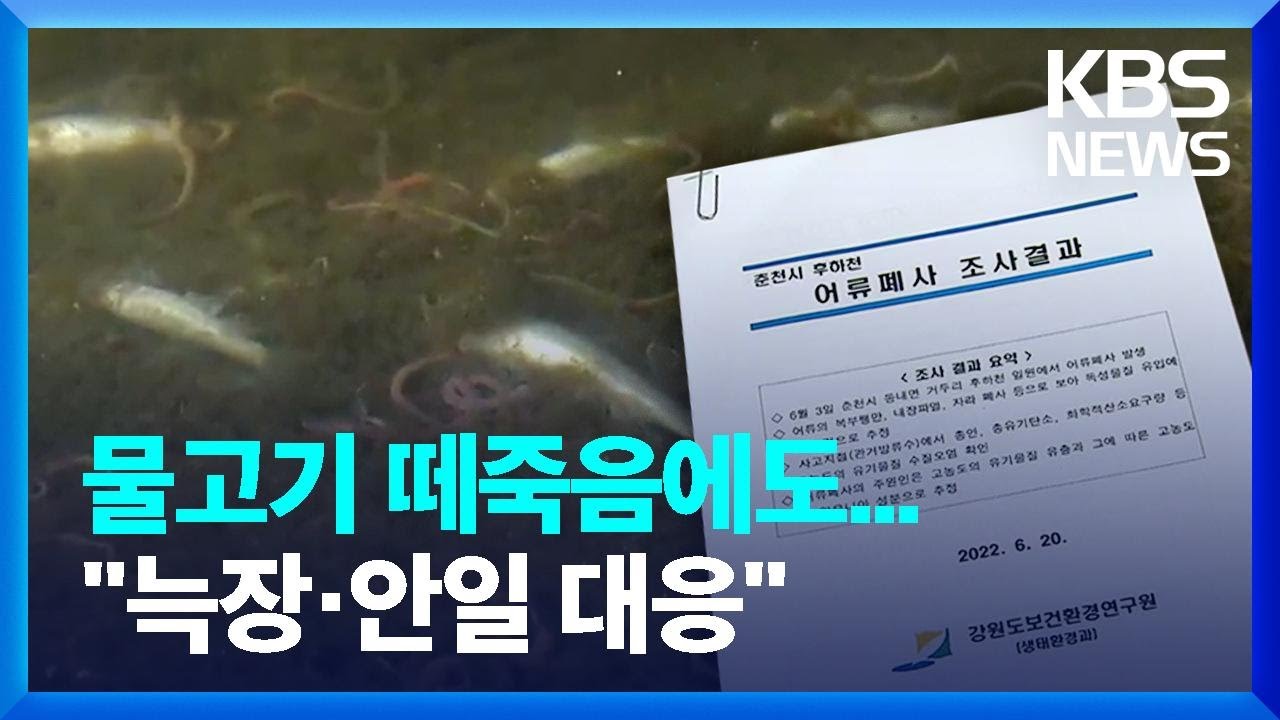 춘천 물고기 집단폐사 오염원 규명 난망…“늑장·안일” 비판 / KBS  2022.06.22.