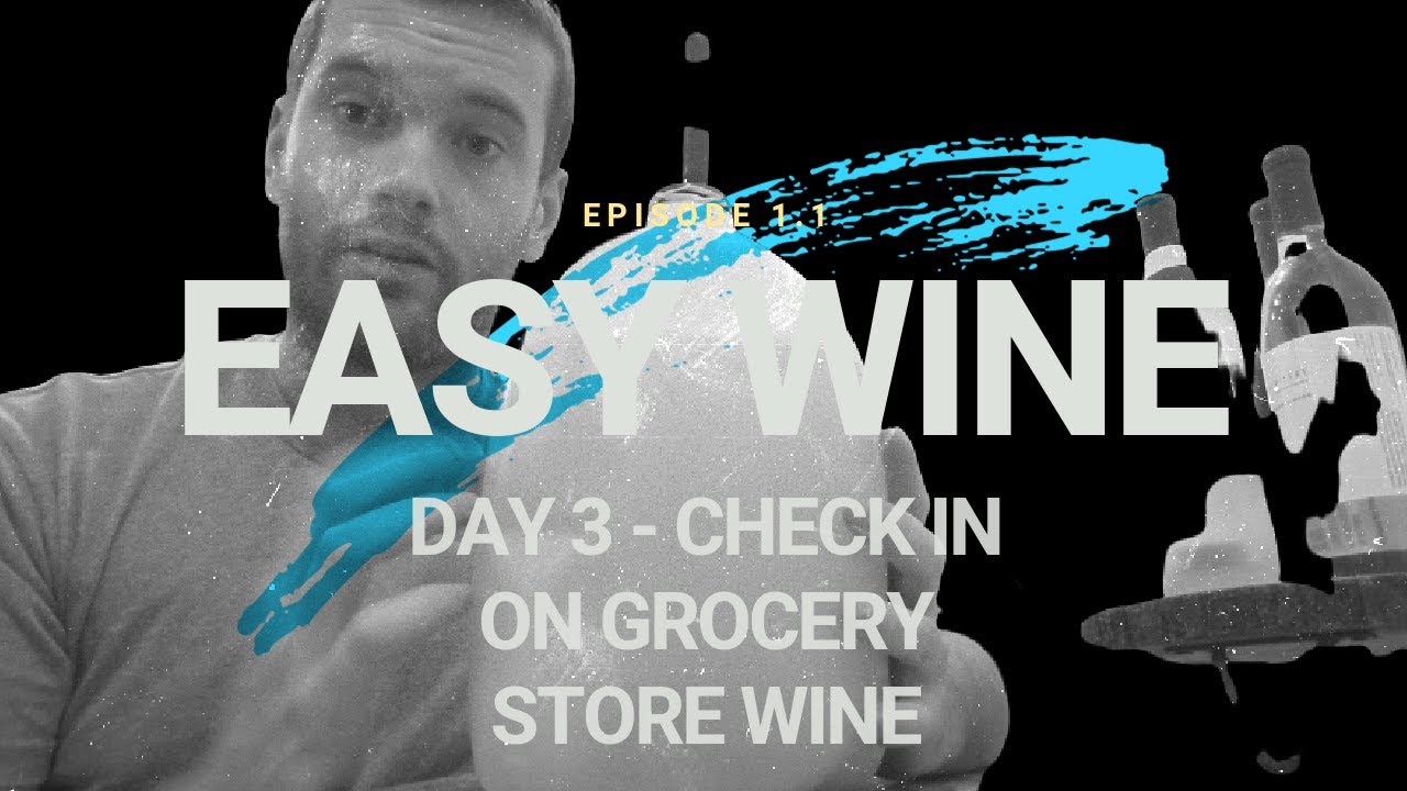 (EASY WINE EP 1.1) Simple Fermentation is Raging in 3 Days!