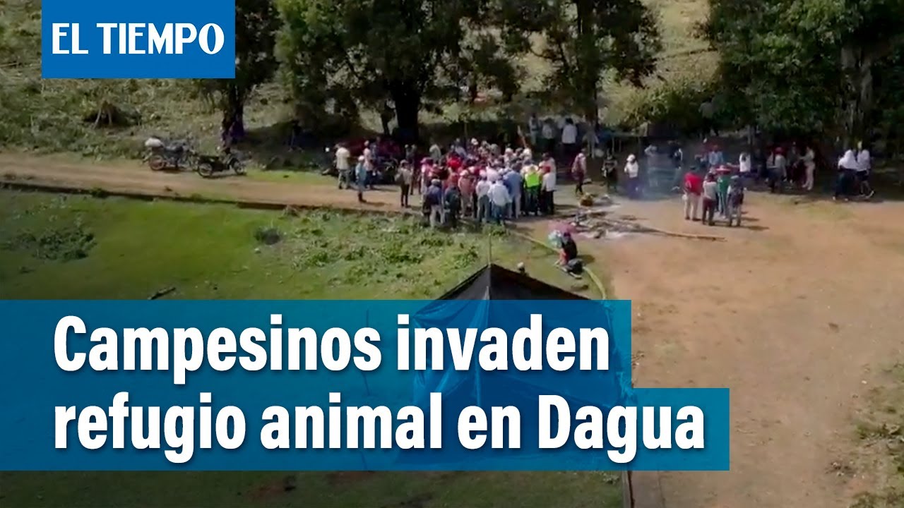 Campesinos invaden refugio animal en el Valle del Cauca | El Tiempo
