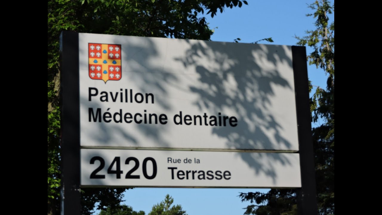 Le pavillon et le programme de Médecine dentaire