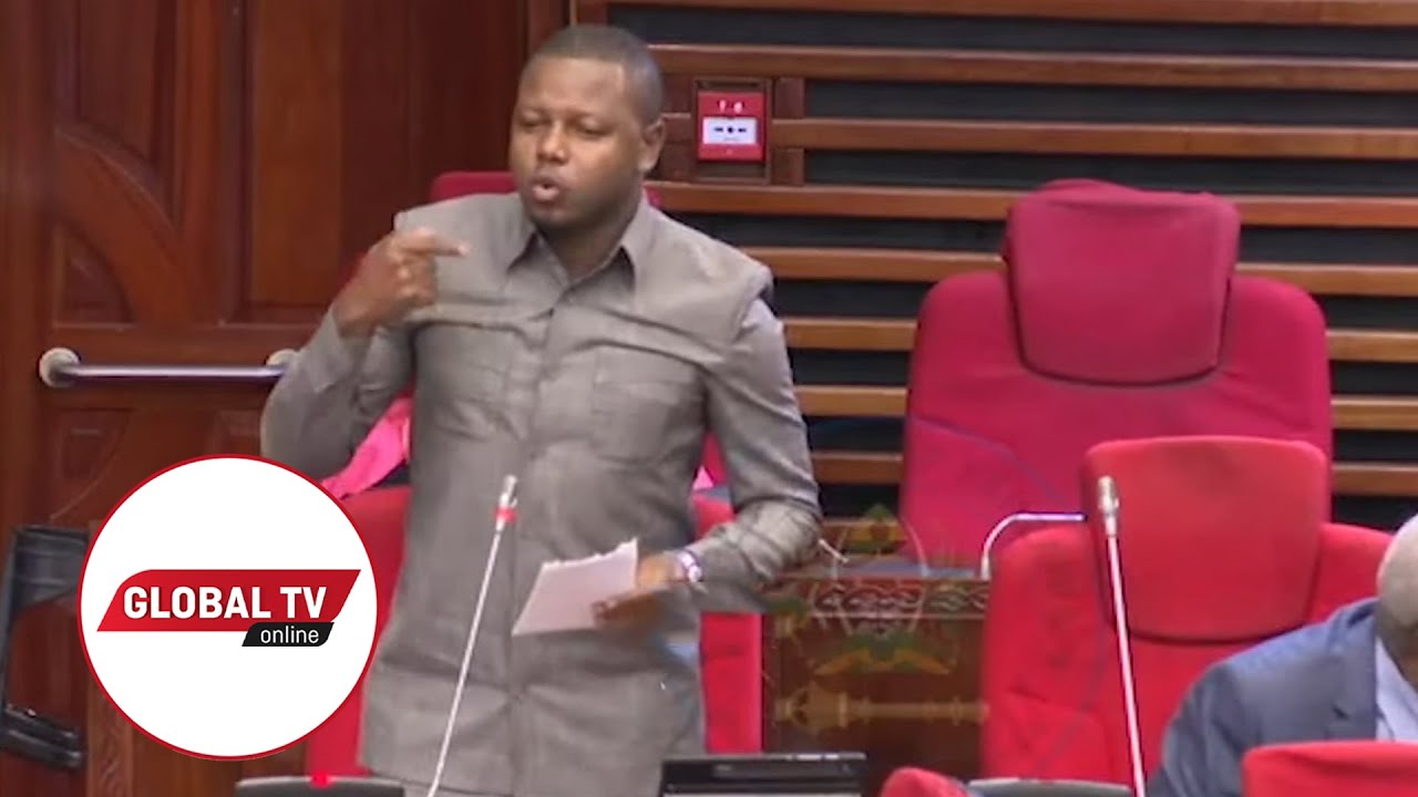KILIMO BADO ni WIMBO MAARUFU Bungeni, MBUNGE Mzava ALIA na ZAO la MKONGE...