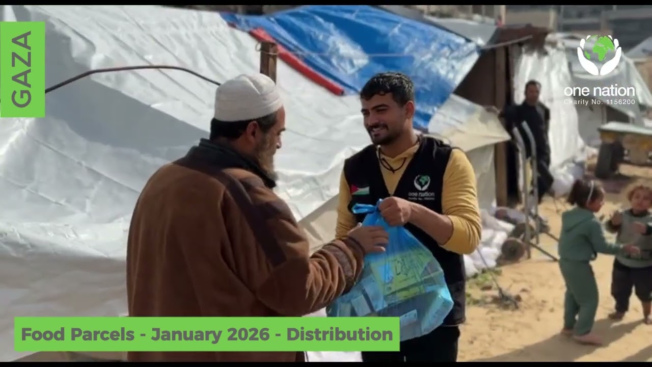 Gaza Aid Distribution Recap | 11–13 January