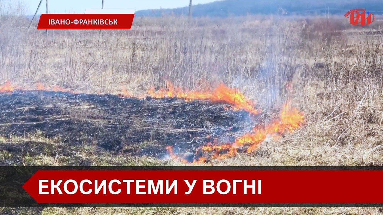 Прикарпаття палає: неконтрольоване спалювання листя загрожує життю та будівлям