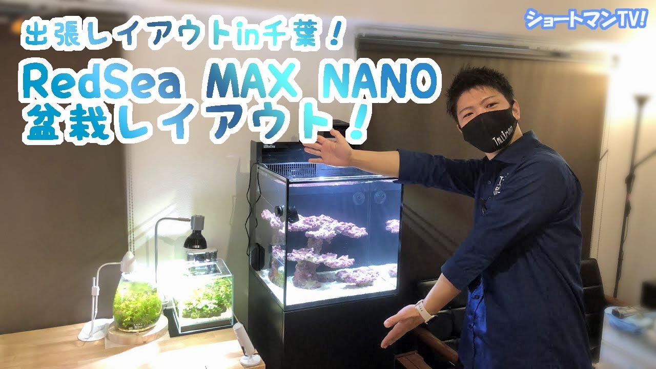 出張レイアウトin千葉！RedSea  MAXnano盆栽レイアウト！