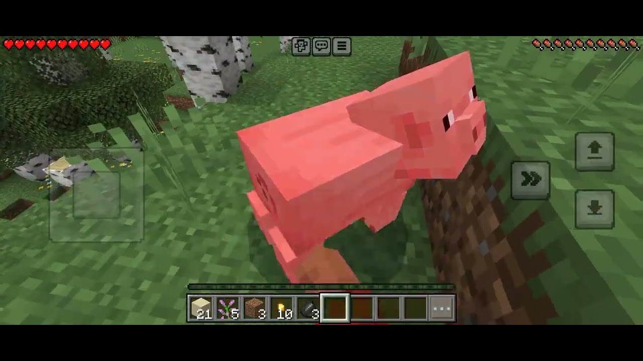 #minecraft #minecraft#viralvideo 