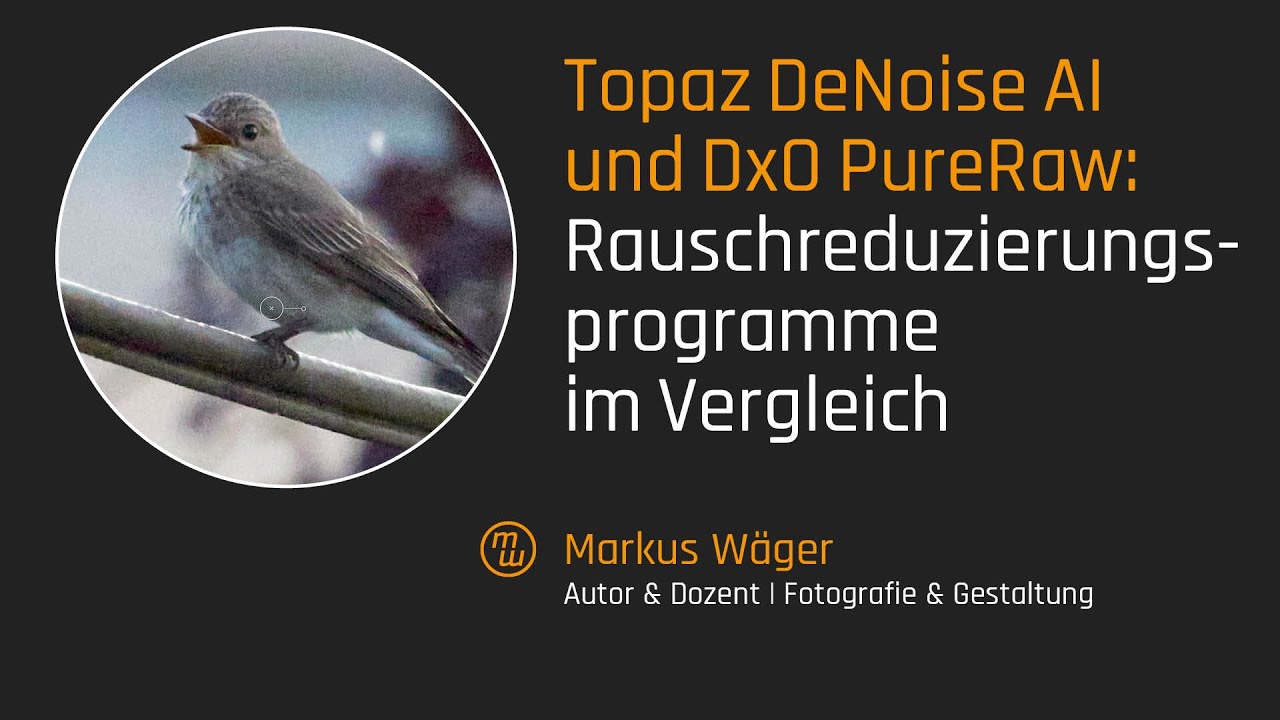 Topaz DeNoise AI und DxO PureRaw: Rauschreduzierungsprogramme im Vergleich (revidiert)