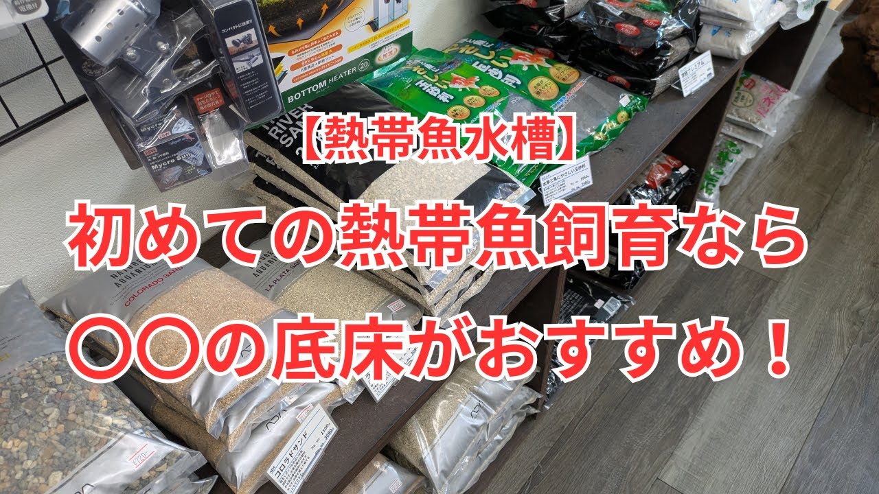 【熱帯魚水槽の底床】初めての水槽なら〇〇のタイプが扱いやすくおすすめ！