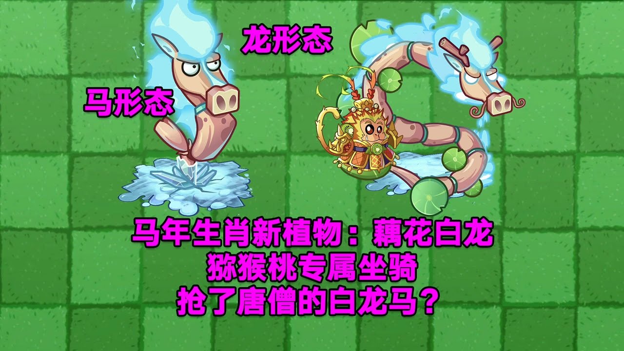 马年生肖新植物：藕花白龙！猕猴桃专属坐骑！抢了唐僧的白龙马？