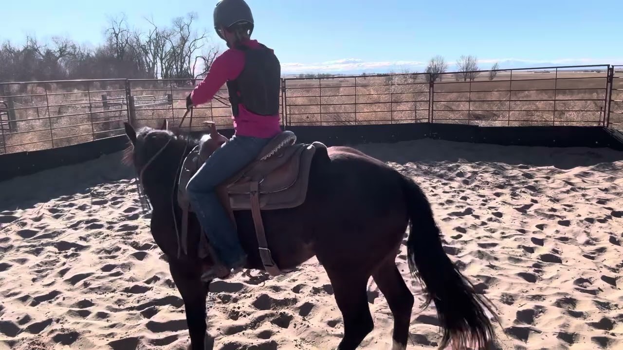 Ellie 2/26