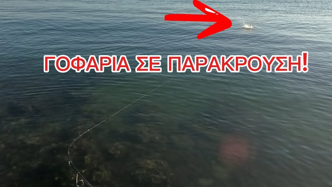 ΧΑΜΟΣ από γοφαρια🎣 | Spinning με top water τεχνητά
