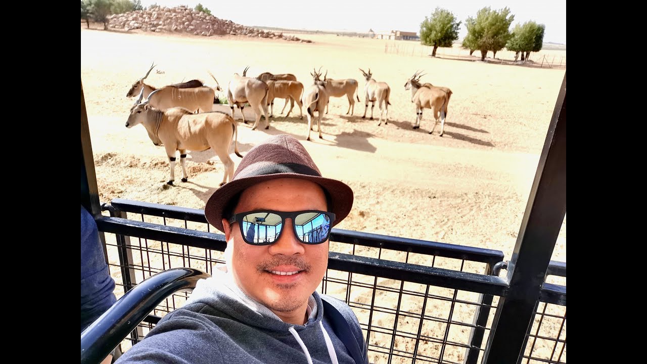 Riyadh Safari Adventure at NOFA wildlife Park